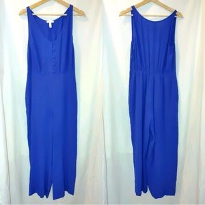 Leith Sleeveless Button Front Jumpsuit